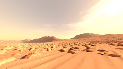 Fototapeta na wymiar 砂漠