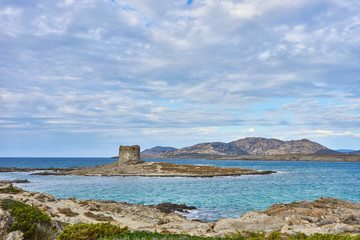 Fototapeta na wymiar Tower on island at north beach of Sardinia / Beach 