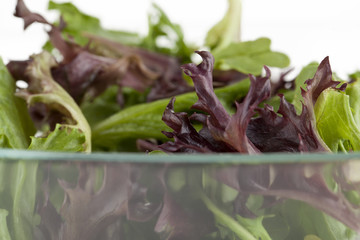 a bowl of garden salad