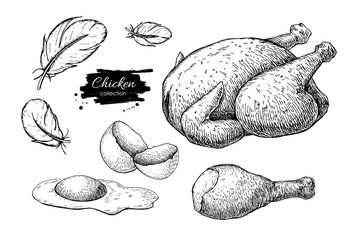Vector Chicken farming products drawings. Engraved baked whole chicken, eggs, chicken leg  - 109546740