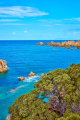 Costa Paradiso in Sardinia - Italy / Coast of north beach in Sardinia