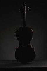 aged violin on dark background