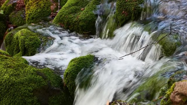 A river flows over rocks in this beautiful scene. Forest stream running over mossy rocks. Pure fresh water waterfall in forest.