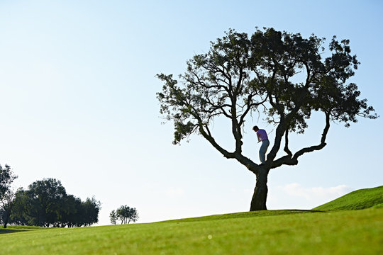 Low angle view of golfer standing in tree swinging golf club