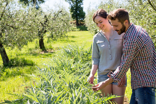 Young couple standing looking down at purple artichoke plant