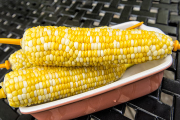 boiled corn cob on white plate closeup
