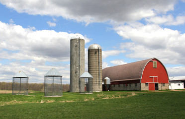 Wisconsin Dairy farm