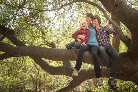 Young boy, mother and father, sitting in tree
