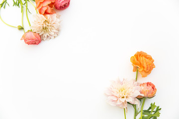orange and pink flowers on a white background