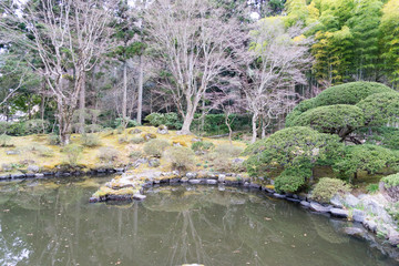 円通院　庭