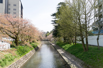 松川　安住橋より