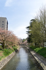 松川　安住橋より
