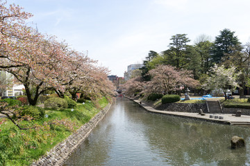 松川　七十二峰橋より