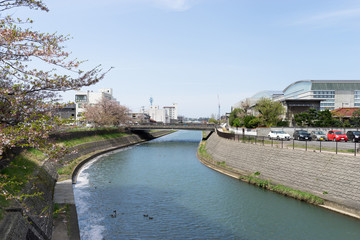 いたち川　太平橋より