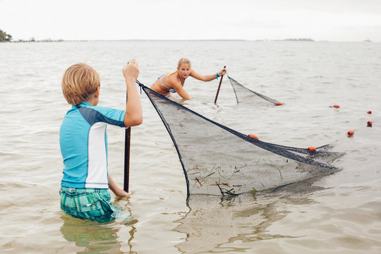 Kids in water using fishing net, Sanibel Island, Pine Island Sound, Florida, USA