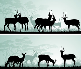 Horizontal wide banners of wild antelope in African savanna.