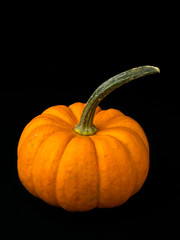 small pumpkin