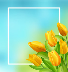 Natural Frame with Yellow Tulips Flowers