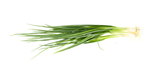 Green Onion on white background