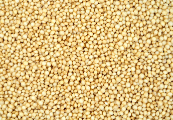 Background of amaranth seeds