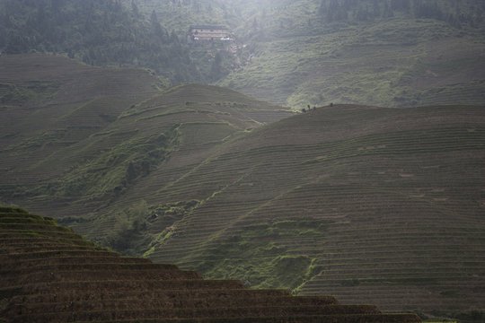 Elevated view of Longsheng terraced ricefields, Guangxi Zhuang, China