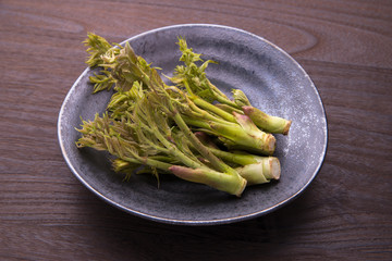 春の山菜　たらの芽