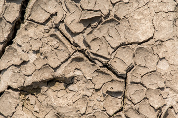 Scorched cracked earth