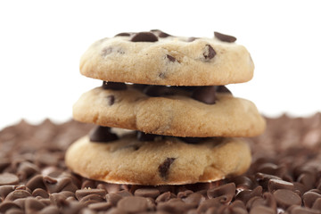 chocolate chip cookies with chocolate morsels