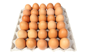 Egg, Chicken Egg