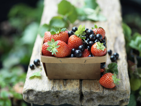 Strawberries and blackcurrants in vintage wooden basket