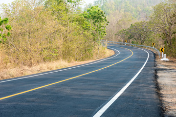 new road in forest