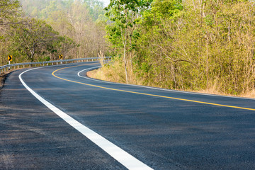 Fototapeta premium new road in forest