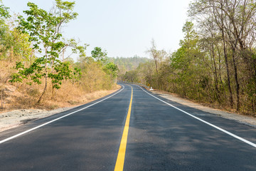 new road in forest