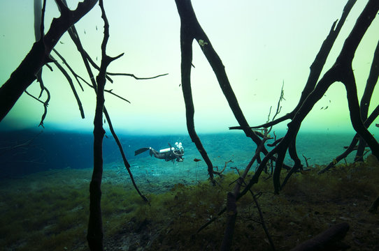 A cave diver suspended between the bottom  a thick halocline at Cenote Carwash, Tulum, Mexico