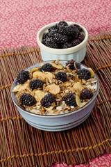 cereal with milk top with blackberries