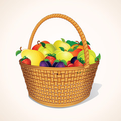 Organic Garden Fruits in Basket. Vector