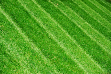 green grass playing field after mowing