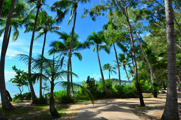 Fototapeta na wymiar Landscape of Clifton beach near Cairns Queensland Australia