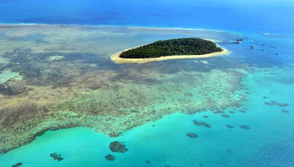 Fototapeten Luftaufnahme des Green Island Riffs an der Great Barrier Reef Queen © Rafael Ben-Ari