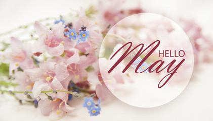 Hello May wallpaper with pastel pink and blue flowers