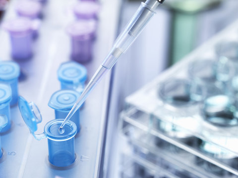 Pipetting drops of liquid into eppendorf tubes, high angle view