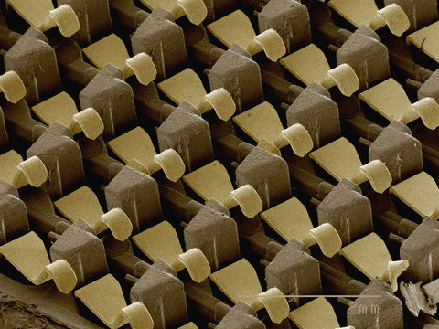 Coloured SEM of computer part