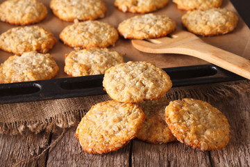 Oatmeal cookies close up in baking dish. horizontal
