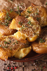 Australian new crash hot potatoes with thyme and cheese macro. Vertical
