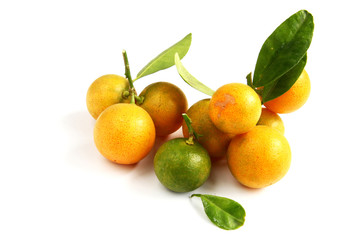 Kumquat on white background