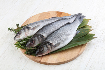 Seabass