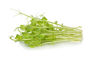 heap of snow pea sprouts or Toumyou sprouts on white background