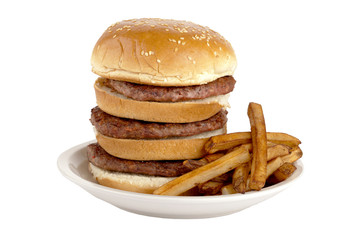 tall hamburger and fries