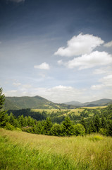 Obraz premium mountain summer landscape. trees near meadow and forest on hills
