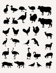 Livestock Silhouettes, art vector design